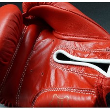 Champion boxing gloves